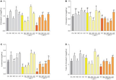 Gly Betaine Surpasses Melatonin to Improve Salt Tolerance in Dalbergia odorifera